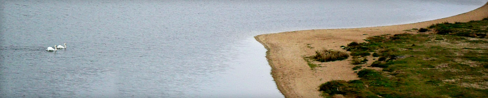 Poznań Koszalin Łódź Bramy Wjazdowe Włocławek Białystok Gdańsk Strony Internetowe Lublin Piła Wrocław Fotowoltaika Kraków Toruń Gdynia Panele Fotowoltaiczne Szczecin Gorzów Katowice Pompy Ciepła Warszawa Bydgoszcz Optyk Grudziądz Instalacje C.O.